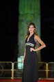 Miss Eleganza 12.8.2015 Elegante (458)